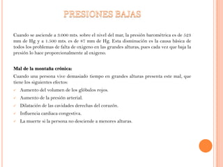 Cuando se asciende a 3.000 mts. sobre el nivel del mar, la presión barométrica es de 523
mm de Hg y a 1.500 mts. es de 87 mm de Hg. Esta disminución es la causa básica de
todos los problemas de falta de oxigeno en las grandes alturas, pues cada vez que baja la
presión lo hace proporcionalmente al oxigeno.
Mal de la montaña crónica:
Cuando una persona vive demasiado tiempo en grandes alturas presenta este mal, que
tiene los siguientes efectos:


Aumento del volumen de los glóbulos rojos.



Aumento de la presión arterial.



Dilatación de las cavidades derechas del corazón.



Influencia cardiaca congestiva.



La muerte si la persona no desciende a menores alturas.

 