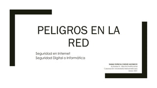 PELIGROS EN LA
RED
Seguridad en Internet
Seguridad Digital o Informática
DIANA PATRICIA CHÁVEZ ASCENCIO
Actividad 4 - Electiva Institucional
Corporación Universitaria Iberoamericana
Marzo 2021
 