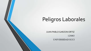 Peligros Laborales
JUAN PABLO GARZON ORTIZ
125083
UNIVERSIDAD ECCI
 