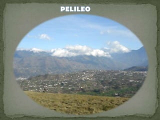 PELILEO