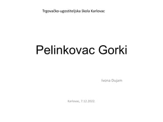 Pelinkovac Gorki
Ivona Dujam
Karlovac, 7.12.2022.
Trgovačko-ugostiteljska škola Karlovac
 
