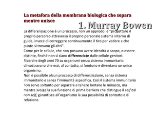 1. Murray Bowen  La metafora della membrana biologica che separa mentre unisce La differenziazione è un processo, non un approdo: è “progettare il proprio percorso attraverso il proprio personale sistema interno di guida, invece di correggere continuamente il tiro per vedere a che punto si trovano gli altri”.  Come per le cellule, che non possano avere identità o scopo, o essere distinte, finché non si siano  differenziate  dalle cellule genitori. Ricerche degli anni 70 su organismi senza sistema immunitario dimostravano che essi, al contatto, si fondono e diventano un unico organismo.  Non è possibile alcun processo di differenziazione, senza sistema immunitario e senza l’immunità aspecifica. Così il sistema immunitario non serve soltanto per separare e tenere lontane le minacce, ma mentre svolge la sua funzione di prima barriera che distingue il  self  dal  non self , garantisce all’organismo la sua possibilità di contatto e di relazione. 