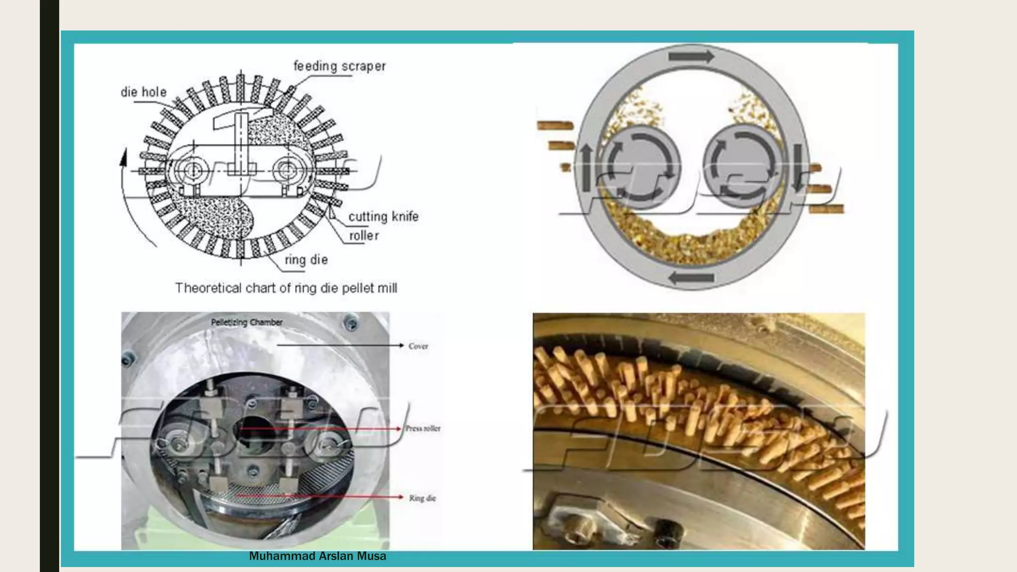 Muhammad Arslan Musa
 