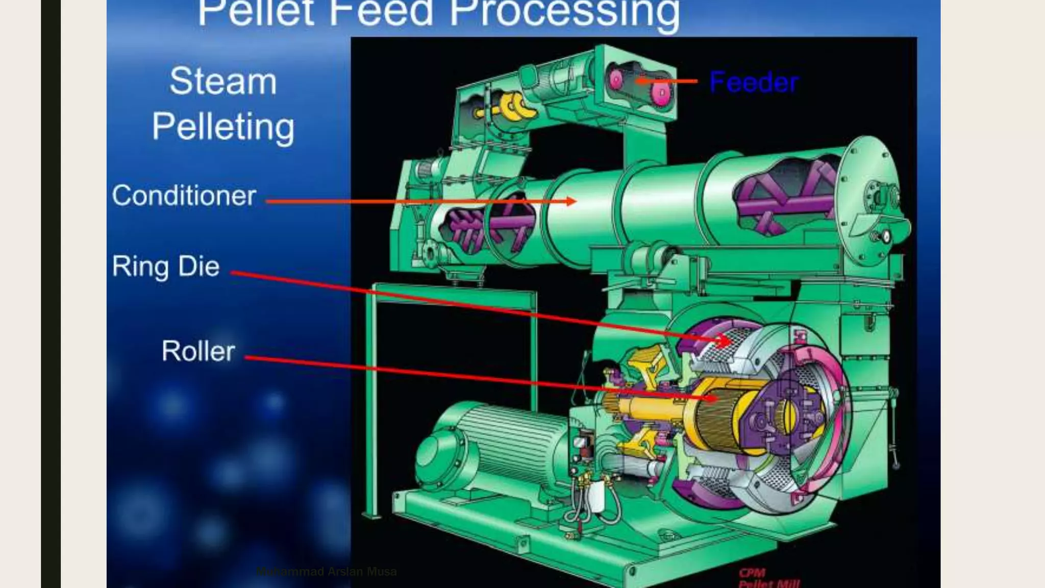 Muhammad Arslan Musa
 