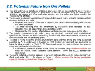2.2. Potential Future Iron Ore Pellets
 