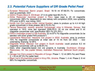 2.3. Potential Future Suppliers of DR Grade Pellet Feed
 