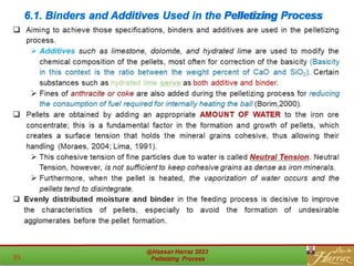 6.1. Binders and Additives Used in the Pelletizing Process
 