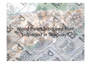 Wood Pellet produced from
 pulpwood in Uruguay?
 