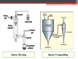 Spray Drying Spray Congealing
 