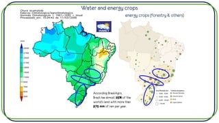 According BrasilAgro,
Brazil has almost 25% of the
world's land with more than
975 mm of rain per year.
Water and energy crops
energy crops (forestry & others)
 