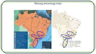 Railways and energy crops
 