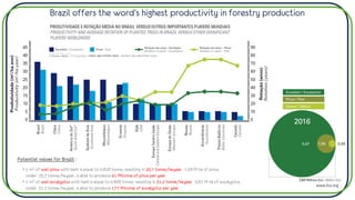 Brazil offers the word’s highest productivity in forestry production
• 1 m3 of wet pinus with bark is equal to 0.828 tonne, resulting in 25.7 tonne/ha.year. 1.58 M ha of pinus,
under 25.7 tonne/ha.year, is able to produce 41 Mtonne of pinus per year.
• 1 m3 of wet eucalyptus with bark is equal to 0.868 tonne, resulting in 31.2 tonne/ha.year. 5.67 M ha of eucalyptus,
under 31.2 tonne/ha.year, is able to produce 177 Mtonne of eucalyptus per year.
Potential values for Brazil :
www.iba.org
 