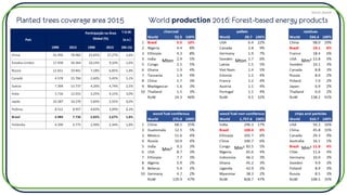 Planted trees coverage area 2015 World production 2016: Forest-based energy products
Mton
Mm3 Mm3 Mm3
Mton Mm3
Source: faostat
 