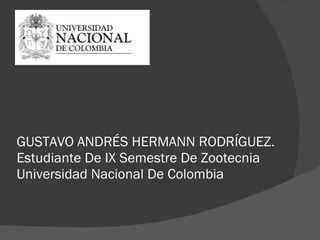 GUSTAVO ANDRÉS HERMANN RODRÍGUEZ. Estudiante De IX Semestre De Zootecnia Universidad Nacional De Colombia  