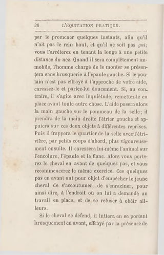 36 L'EQUITATION PR ATIQUE.
par le promener quelques instants, afin qu'il
n'ait pas le rein haut, et qu'il ne soit pas gai;
vous l'arrêterez en tenant la longe à une petite
distance du nez. Quand il sera complètement im­
mobile, l'homme chargé de le monter se présen­
tera sans brusquerie à l'épaule gauche. Si le pou­
lain n'est pas effrayé à l'approche de votre aide,
caressez-le et parlez-lui doucement. Si, au con.
traire, il s'agite avec inquiétude, remettez-le en
place avant toute autre chose. L'aide posera alors
la main gauche sur le pommeau de la selle ; il
prendra de la main droite l'étrier gauche et ap­
puiera sur ces deux objets à différentes reprises.
Puis il frappera le quartier de la selle ayecTétri-
vière, par petits coups d'abord, plus vigoureuse­
ment ensuite. Il caressera lui-même l'animal sur
l'encolure, l'épaule et le flanc. Alors vous porte­
rez le cheval en avant de quelques pas, et vous
recommencerez le même exercice. Ces q uelques
pas en avant ont pour objet d'empêcher le jeune
cheval de s'accoutumer, de s'enraciner, pour
ainsi dire, à l'endroit où on lui a demandé un
travail en place, et de se refuser à obéir ail­
leurs.
Si le cheval se défend, il luttera en se portant
brusquement en avant, effrayé par la présence de
 