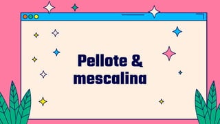 Pellote &
mescalina
 