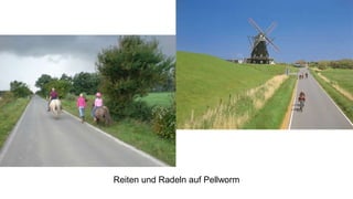 Reiten und Radeln auf Pellworm
 