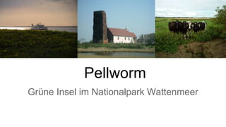Pellworm
Grüne Insel im Nationalpark Wattenmeer
 