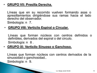 Vertificilo Pelmat | PDF