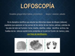 LOFOSCOPÍA
Vocablos griegos lofos=relieve, promontorio skopia = examen, estudio
Es la disciplina científica que estudia las diferentes clases de dibujos (relieves)
papilares que aparecen en las yemas de los dedos de las manos, palmas y plantas de
los pies de todo ser humano: toma, reseña, clasifica, coteja, identifica, archiva, las
huellas de los relieves epidérmicos existentes en la piel de fricción de manos y pies,
con fines de identificación.
 