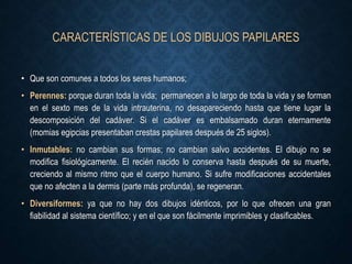 CARACTERÍSTICAS DE LOS DIBUJOS PAPILARES
• Que son comunes a todos los seres humanos;
• Perennes: porque duran toda la vida; permanecen a lo largo de toda la vida y se forman
en el sexto mes de la vida intrauterina, no desapareciendo hasta que tiene lugar la
descomposición del cadáver. Si el cadáver es embalsamado duran eternamente
(momias egipcias presentaban crestas papilares después de 25 siglos).
• Inmutables: no cambian sus formas; no cambian salvo accidentes. El dibujo no se
modifica fisiológicamente. El recién nacido lo conserva hasta después de su muerte,
creciendo al mismo ritmo que el cuerpo humano. Si sufre modificaciones accidentales
que no afecten a la dermis (parte más profunda), se regeneran.
• Diversiformes: ya que no hay dos dibujos idénticos, por lo que ofrecen una gran
fiabilidad al sistema científico; y en el que son fácilmente imprimibles y clasificables.
 