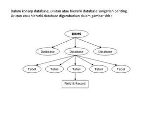 Dalam konsep database, urutan atau hierarki database sangatlah penting.
Urutan atau hierarki database digambarkan dalam gambar sbb :
 