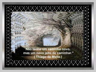 Não tenho um caminho novo, mas um novo jeito de caminhar." ( Thiago de Mello.) 