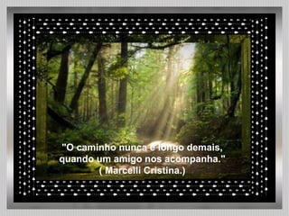 "O caminho nunca é longo demais, quando um amigo nos acompanha." ( Marcelli Cristina.) 