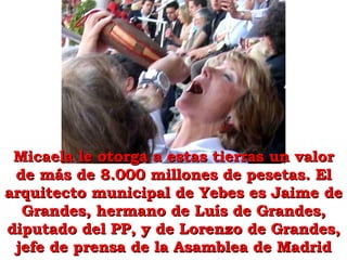 Micaela le otorga a estas tierras un valor de más de 8.000 millones de pesetas. El arquitecto municipal de Yebes es Jaime de Grandes, hermano de Luís de Grandes, diputado del PP, y de Lorenzo de Grandes, jefe de prensa de la Asamblea de Madrid 