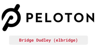 Bridge Dudley (elbridge)
 