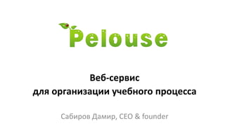 Веб-сервис
для организации учебного процесса
Сабиров Дамир, CEO & founder
 