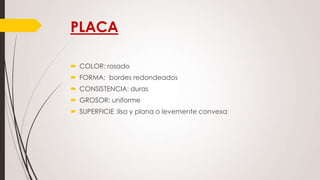 PLACA
 COLOR: rosado
 FORMA: bordes redondeados
 CONSISTENCIA: duras
 GROSOR: uniforme
 SUPERFICIE :lisa y plana o levemente convexa

 