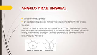 ANGULO Y RAIZ UNGUEAL
 Debe medir 160 grados
 En los dedos de palillo de tambor mide aproximadamente 180 grados
Técnicas :
PRUEBA DE ADHERENCIA DEL LECHO UNGUEAL : Colocar una regla o una
hoja de papel atravesando la uña y la superficie dorsal del dedo, midiendo
el ángulo que forma el pliegue ungueal proximal y la lamina de la uña
PRUEBA DE SCHAMROTH

 