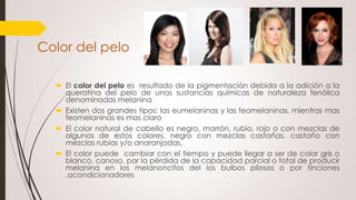 Color del pelo
 El color del pelo es resultado de la pigmentación debida a la adición a la
queratina del pelo de unas sustancias químicas de naturaleza fenólica
denominadas melanina
 Existen dos grandes tipos: las eumelaninas y las feomelaninas, mientras mas
feomelaninas es mas claro
 El color natural de cabello es negro, marrón, rubio, rojo o con mezclas de
algunos de estos colores, negro con mezclas castañas, castaño con
mezclas rubias y/o anaranjadas.
 El color puede cambiar con el tiempo y puede llegar a ser de color gris o
blanco, canoso, por la pérdida de la capacidad parcial o total de producir
melanina en los melanoncitos del los bulbos pilosos o por tinciones
,acondicionadores

 