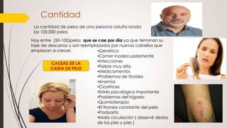 Cantidad
La cantidad de pelos de una persona adulta ronda
los 100.000 pelos
Hay entre (50-100)pelos que se cae por día ya que terminan su
fase de descanso y son reemplazados por nuevos cabellos que
empiezan a crecer.
•Genética
•Comer inadecuadamente
•Infecciones
CAUSAS DE LA
•Fiebre muy alta
CAIDA DE PELO
•Medicamentos
•Problemas de tiroides
•Anemia
•Cicatrices
•Estrés psicológico importante
•Problemas del hígado
•Quimioterapia
•El tironeo constante del pelo
•Postparto
•Mala circulación ( observé dedos
de los pies y pies )

 