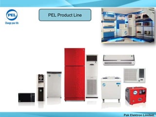 PEL Strategy Management Project | PPTX