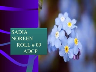 SADIA 
NOREEN 
ROLL # 09 
ADCP 
 