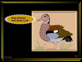 9/21/2022 77
Best Wishes
and Good Luck
 