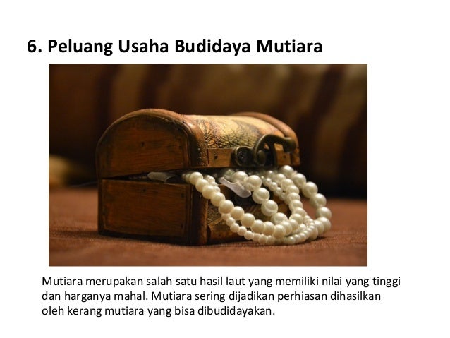 Peluang bisnis sumberdaya pesisir