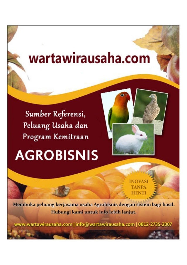 Peluang Usaha Budidaya Nila