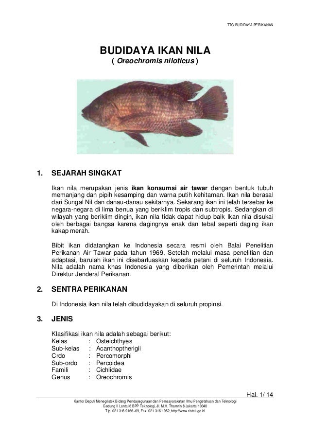 Peluang Usaha Budidaya Ikan Air Tawar