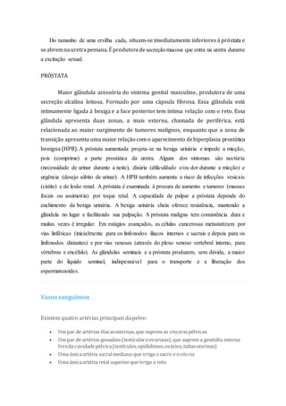 Do tamanho de uma ervilha cada, situam-se imediatamente inferiores à próstata e
seabremnauretrapeniana.Éprodutorade secreçãomucosa que entra na uretra durante
a excitação sexual.
PRÓSTATA
Maior glândula acessória do sistema genital masculino, produtora de uma
secreção alcalina leitosa. Formado por uma cápsula fibrosa. Essa glândula está
intimamente ligada à bexiga e a face posterior tem íntima relação com o reto. Essa
glândula apresenta duas zonas, a mais externa, chamada de periférica, está
relacionada ao maior surgimento de tumores malignos, enquanto que a zona de
transição apresenta uma maior relação com o aparecimento dehiperplasia prostática
benigna (HPB). A próstata aumentada projeta-se na bexiga urinária e impede a micção,
pois (comprime) a parte prostática da uretra. Alguns dos sintomas são noctúria
(necessidade de urinar durante a noite), disúria (dificuldade e/ou dor durante a micção) e
urgência (desejo súbito de urinar). A HPB também aumenta o risco de infecções vesicais
(cistite) e de lesão renal. A próstata é examinada à procura de aumento e tumores (massas
focais ou assimetria) por toque retal. A capacidade de palpar a próstata depende do
enchimento da bexiga urinária. A bexiga urinária cheia oferece resistência, mantendo a
glândula no lugar e facilitando sua palpação. A próstata maligna tem consistência dura e
muitas vezes é irregular. Em estágios avançados, as células cancerosas metastatizam por
vias linfáticas (inicialmente para os linfonodos ilíacos internos e sacrais e depois para os
linfonodos distantes) e por vias venosas (através do plexo venoso vertebral interno, para
vértebras e encéfalo). As glândulas seminais e a próstata produzem, sem dúvida, a maior
parte do líquido seminal, indispensável para o transporte e a liberação dos
espermatozoides.
Vasos sanguíneos
Existem quatro artérias principais dapelve:
 Um par de artérias ilíacasinternas, que suprem as vísceraspélvicas
 Um par de artérias gonadais (testiculareovariana),que suprem a genitália interna
forada cavidadepélvica(testículos,epidídimos,ovários,tubasuterinas)
 Uma únicaartéria sacralmediana que irriga osacro e ocóccix
 Uma únicaartéria retal superiorque irriga o reto
 
