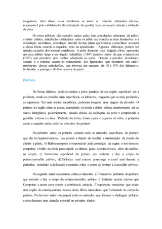 sanguíneos, além disso, nessa membrana se insere o músculo obturador interno,
responsável pela estabilização da articulação do quadril, bem como pela rotação e abdução
da coxa.
Os ossos pélvicos são mantidos juntos pelas duas articulações principais da pelve:
a sínfise púbica, articulação cartilagínea entre os púbis que conecta as duas hemipelves e a
articulação sacroilíaca, articulação sinovial do tipo plana que conecta o osso ilíaco ao sacro
e, dessa forma conecta o esqueleto axial ao apendicular. . Algumas diferenças podem ser
notadas na pelve dos homens e mulheres. A pelve feminina mais delgada e leve, apresenta
um arco púbico largo e um ângulo subpúbico (>80°) também maior do que o masculino
(<70°), que permitem uma melhor adaptação ao parto. Durante a gravidez, hormônios
sexuais e a relaxina atuam no relaxamento dos ligamentos que permitem um maior
movimento dessas articulações, que provoca um aumento de 10 a 15% dos diâmetros,
facilitando a passagem do feto na hora do parto.
Períneo
De forma didática, pode-se estudar a pelve partindo de sua região superficial até a
profunda, sendo as camadas mais superficiais as inferiores, enquanto que as mais profundas
as superiores. Em uma análise metafórica, podemos imaginar uma viagem de elevador. O
períneo é a região entre as coxas, estendendo-se desde a sínfise púbica anteriormente até os
sulcos interglúteos posteriormente, situada abaixo do diafragma da pelve e compreende a
genitália externa e o ânus. Partindo do térreo, temos a pele e os pelos da vulva, o primeiro
andar e segundo andar estão os músculos do períneo.
No primeiro andar ou primeira camada estão os músculos superficiais do períneo
que são (a) isquiocavernoso, que possui a função de auxiliar a manutenção da ereção do
clitóris e pênis.; b) Bulboesponjoso é responsável pela constrição da vagina e nos homens
comprime o bulbo do pênis para expelir as últimas gotas de urina/sêmen, além de auxiliar
na ereção, c) Transverso superficial do períneo que sustenta e fixa o corpo do
períneo/assoalho pélvico; d) Esfíncter anal externo constringe o canal anal durante a
peristalse, resistindo à defecação e sustenta e fixa o corpo do períneo e o assoalho pélvico.
Nosegundo andar ou camada, estão os músculos e) Transverso profundo do períneo
que sustenta e fixa o corpo do períneo/assoalho pélvico f) Esfíncter uretral externo que
Comprime a uretra para manter a continência urinária. É importante mencionar que existe
uma região de entrelaçamento dessas várias fibras musculares que é chamada de corpo do
períneo. No terceiro andar ou camada estão os músculos que formam o diafragma pélvico,
a esse daremos uma atenção especial no próximo tópico.
 