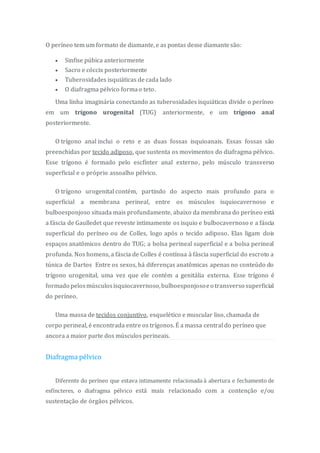 O períneo tem um formato de diamante, e as pontas desse diamantesão:
 Sinfise púbica anteriormente
 Sacro e cóccix posteriormente
 Tuberosidades isquiáticas de cada lado
 O diafragma pélvico formao teto.
Uma linha imaginária conectando as tuberosidades isquiáticas divide o períneo
em um trígono urogenital (TUG) anteriormente, e um trígono anal
posteriormente.
O trígono anal inclui o reto e as duas fossas isquioanais. Essas fossas são
preenchidas por tecido adiposo, que sustenta os movimentos do diafragma pélvico.
Esse trígono é formado pelo escfínter anal externo, pelo músculo transverso
superficial e o próprio assoalho pélvico.
O trígono urogenital contém, partindo do aspecto mais profundo para o
superficial a membrana perineal, entre os músculos isquiocavernoso e
bulboesponjoso situada mais profundamente, abaixo da membrana do períneo está
a fáscia de Gaulledet que reveste intimamente os isquio e bulbocavernoso e a fáscia
superficial do períneo ou de Colles, logo após o tecido adiposo. Elas ligam dois
espaços anatômicos dentro do TUG; a bolsa perineal superficial e a bolsa perineal
profunda. Nos homens, a fáscia de Colles é contínua à fáscia superficial do escroto a
túnica de Dartos Entre os sexos, há diferenças anatômicas apenas no conteúdo do
trígono urogenital, uma vez que ele contém a genitália externa. Esse trígono é
formado pelosmúsculosisquiocavernoso,bulboesponjosoeo transverso superficial
do períneo.
Uma massa de tecidos conjuntivo, esquelético e muscular liso, chamada de
corpo perineal, é encontrada entre os trígonos. É a massa central do períneo que
ancora a maior parte dos músculos perineais.
Diafragma pélvico
Diferente do períneo que estava intimamente relacionada à abertura e fechamento de
esfíncteres, o diafragma pélvico está mais relacionado com a contenção e/ou
sustentação de órgãos pélvicos.
 