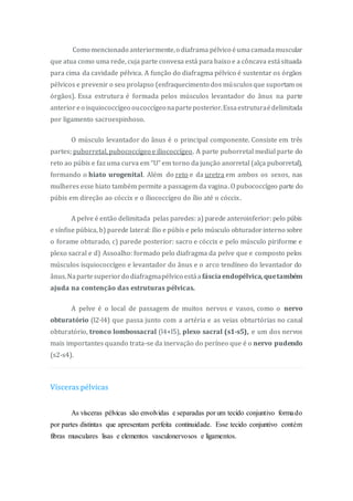 Como mencionado anteriormente,o diaframa pélvico éumacamadamuscular
que atua como uma rede, cuja parte convexa está para baixo e a côncava estásituada
para cima da cavidade pélvica. A função do diafragma pélvico é sustentar os órgãos
pélvicos e prevenir o seu prolapso (enfraquecimento dos músculosque suportam os
órgãos). Essa estrutura é formada pelos músculos levantador do ânus na parte
anterior eo isquiococcígeo oucoccígeonaparteposterior.Essaestruturaédelimitada
por ligamento sacroespinhoso.
O músculo levantador do ânus é o principal componente. Consiste em três
partes; puborretal, pubococcígeo e iliococcígeo. A parte puborretal medial parte do
reto ao púbis e faz uma curva em “U” em torno da junção anorretal (alça puborretal),
formando o hiato urogenital. Além do reto e da uretra em ambos os sexos, nas
mulheres esse hiato também permite a passagem da vagina. O pubococcígeo parte do
púbis em direção ao cóccix e o íliococcígeo do ílio até o cóccix.
A pelve é então delimitada pelas paredes: a) parede anteroinferior: pelo púbis
e sínfise púbica, b) parede lateral: ílio e púbis e pelo músculo obturadorinterno sobre
o forame obturado, c) parede posterior: sacro e cóccix e pelo músculo piriforme e
plexo sacral e d) Assoalho: formado pelo diafragma da pelve que e composto pelos
músculos isquiococcígeo e levantador do ânus e o arco tendíneo do levantador do
ânus.Napartesuperiordo diafragmapélvico estáa fásciaendopélvica,quetambém
ajuda na contenção das estruturas pélvicas.
A pelve é o local de passagem de muitos nervos e vasos, como o nervo
obturatório (l2-l4) que passa junto com a artéria e as veias obturtórias no canal
obturatório, tronco lombossacral (l4+l5), plexo sacral (s1-s5), e um dos nervos
mais importantes quando trata-se da inervação do períneo que é o nervo pudendo
(s2-s4).
Vísceras pélvicas
As vísceras pélvicas são envolvidas e separadas por um tecido conjuntivo formado
por partes distintas que apresentam perfeita continuidade. Esse tecido conjuntivo contém
fibras musculares lisas e elementos vasculonervosos e ligamentos.
 
