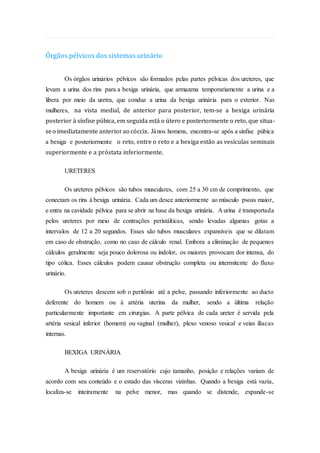 Órgãos pélvicos dos sistemas urinário
Os órgãos urinários pélvicos são formados pelas partes pélvicas dos ureteres, que
levam a urina dos rins para a bexiga urinária, que armazena temporariamente a urina e a
libera por meio da uretra, que conduz a urina da bexiga urinária para o exterior. Nas
mulheres, na vista medial, de anterior para posterior, tem-se a bexiga urinária
posterior à sínfise púbica, em seguida está o útero e posteriormente o reto, que situa-
seo imediatamente anteriorao cóccix. János homens, encontra-se após a sínfise púbica
a bexiga e posteriormente o reto, entre o reto e a bexiga estão as vesículas seminais
superiormente e a próstata inferiormente.
URETERES
Os ureteres pélvicos são tubos musculares, com 25 a 30 cm de comprimento, que
conectam os rins à bexiga urinária. Cada um desce anteriormente ao músculo psoas maior,
e entra na cavidade pélvica para se abrir na base da bexiga urinária. A urina é transportada
pelos ureteres por meio de contrações peristálticas, sendo levadas algumas gotas a
intervalos de 12 a 20 segundos. Esses são tubos musculares expansíveis que se dilatam
em caso de obstrução, como no caso de cálculo renal. Embora a eliminação de pequenos
cálculos geralmente seja pouco dolorosa ou indolor, os maiores provocam dor intensa, do
tipo cólica. Esses cálculos podem causar obstrução completa ou intermitente do fluxo
urinário.
Os ureteres descem sob o peritônio até a pelve, passando inferiormente ao ducto
deferente do homem ou à artéria uterina da mulher, sendo a última relação
particularmente importante em cirurgias. A parte pélvica de cada ureter é servida pela
artéria vesical inferior (homem) ou vaginal (mulher), plexo venoso vesical e veias ilíacas
internas.
BEXIGA URINÁRIA
A bexiga urinária é um reservatório cujo tamanho, posição e relações variam de
acordo com seu conteúdo e o estado das vísceras vizinhas. Quando a bexiga está vazia,
localiza-se inteiramente na pelve menor, mas quando se distende, expande-se
 