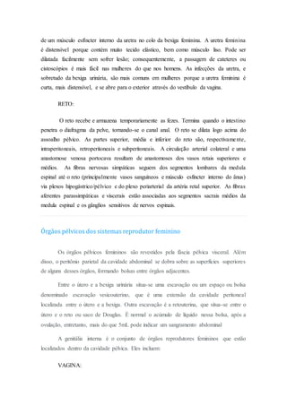 de um músculo esfíncter interno da uretra no colo da bexiga feminina. A uretra feminina
é distensível porque contém muito tecido elástico, bem como músculo liso. Pode ser
dilatada facilmente sem sofrer lesão; consequentemente, a passagem de cateteres ou
cistoscópios é mais fácil nas mulheres do que nos homens. As infecções da uretra, e
sobretudo da bexiga urinária, são mais comuns em mulheres porque a uretra feminina é
curta, mais distensível, e se abre para o exterior através do vestíbulo da vagina.
RETO:
O reto recebe e armazena temporariamente as fezes. Termina quando o intestino
penetra o diafragma da pelve, tornando-se o canal anal. O reto se dilata logo acima do
assoalho pélvico. As partes superior, média e inferior do reto são, respectivamente,
intraperitoneais, retroperitoneais e subperitoneais. A circulação arterial colateral e uma
anastomose venosa portocava resultam de anastomoses dos vasos retais superiores e
médios. As fibras nervosas simpáticas seguem dos segmentos lombares da medula
espinal até o reto (principalmente vasos sanguíneos e músculo esfíncter interno do ânus)
via plexos hipogástrico/pélvico e do plexo periarterial da artéria retal superior. As fibras
aferentes parassimpáticas e viscerais estão associadas aos segmentos sacrais médios da
medula espinal e os gânglios sensitivos de nervos espinais.
Órgãos pélvicos dos sistemas reprodutor feminino
Os órgãos pélvicos femininos são revestidos pela fáscia pélvica visceral. Além
disso, o peritônio parietal da cavidade abdominal se dobra sobre as superfícies superiores
de alguns desses órgãos, formando bolsas entre órgãos adjacentes.
Entre o útero e a bexiga urinária situa-se uma escavação ou um espaço ou bolsa
denominado escavação vesicouterino, que é uma extensão da cavidade peritoneal
localizada entre o útero e a bexiga. Outra escavação é a retouterina, que situa-se entre o
útero e o reto ou saco de Douglas. È normal o acúmulo de líquido nessa bolsa, após a
ovulação, entretanto, mais do que 5mL pode indicar um sangramento abdominal
A genitália interna é o conjunto de órgãos reprodutores femininos que estão
localizados dentro da cavidade pélvica. Eles incluem:
VAGINA:
 