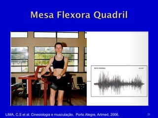 LIMA, C.S et al. Cinesiologia e musculação.  Porto Alegre, Artmed, 2006. 