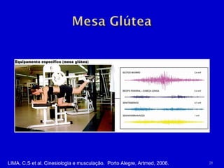 LIMA, C.S et al. Cinesiologia e musculação.  Porto Alegre, Artmed, 2006. 