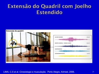 LIMA, C.S et al. Cinesiologia e musculação.  Porto Alegre, Artmed, 2006. 